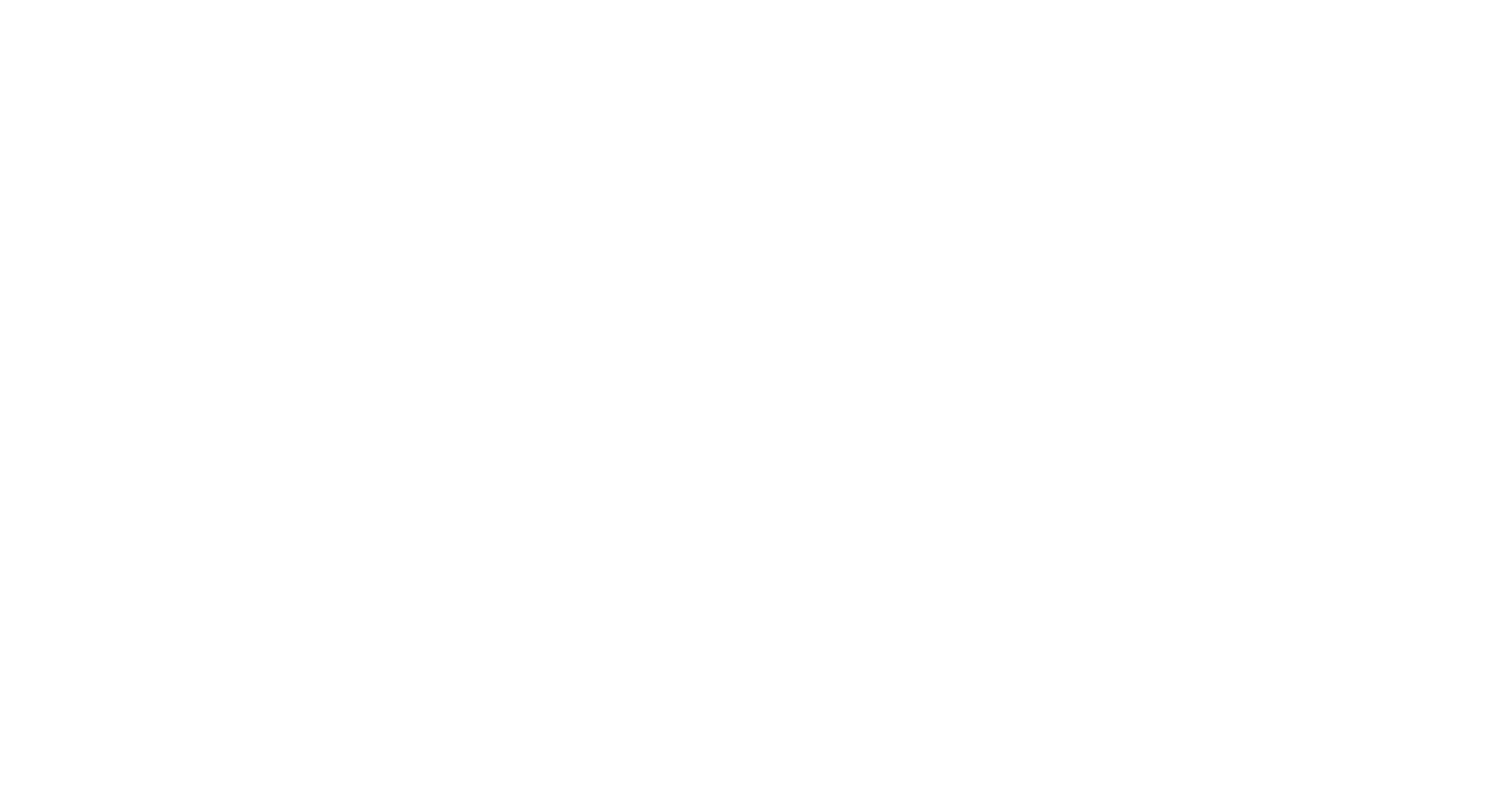 Blank Software
